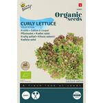 Organic Curly Lettuce Lollo Rossa