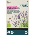 Organic True Lavender