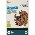 Organic Leaf Lettuce Red Salad Bowl