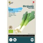 Organic Leek  (Hannibal)