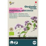 Organic Perennial Marjoram - Oregano
