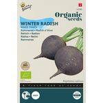 Organic Black Radish