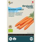 Organic Winter Carrots Berlikum 2