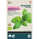 Organic Sweet Basil Italiano Classico