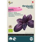 Organic Basil Rosie