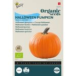 Organic Halloween Pumpkin Jack O'Latern