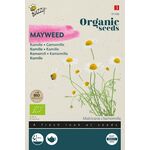 Organic Chamomile