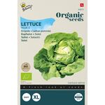 Organic Lettuce Hilde ll