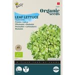 Organic Lettuce Bowl