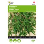 Summer Savory