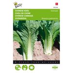 Chinese Cabbage Michihili