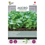 Microgreens Basilic Citron