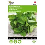 Mélisse Officinale Lemon Balm