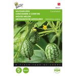 Cucamelon / Cucumber