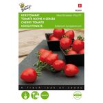Tomato Pot Heartbreaker Vita F1 hybrid