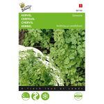 Chervil