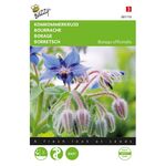 Borage