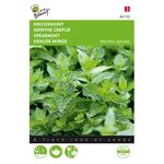 Spearmint