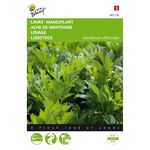 Lovage
