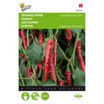 Pepper Cayenne Long Slim Red