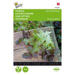 Leaf lettuce Red Salad Bowl