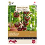 Pomodori Kers-Tomaten Black Cherry