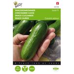 Snack cucumber Iznik F1