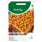 Bush beans Noordhollandse Brown