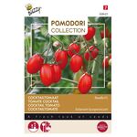 Pomodori cocktail tomato Ravello F1