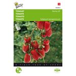 Tomato Roma