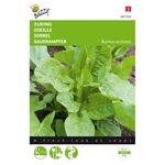 Sorrel