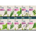 AA Organic Herbs Seeds Packet
