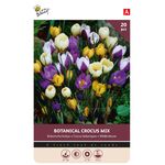 Crocus Bloembollen Botanical Mix
