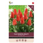 Tulip Bulbs 'Orriental Beauty'