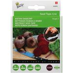 Beetroot Seeds 'Kogel 2' Seed Tape