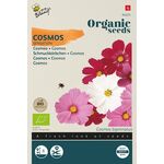Biologische Cosmea Zaden 'Sensation'