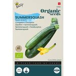 Organic Summer squash Black Beauty