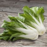 Organic Pak Choi Seeds 'Bopak F1'