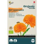 Organic Marigold Ball's Orange