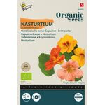 Organic Nasturtium