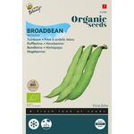 Organic Broad Bean White