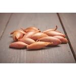 Plantsjalot 'Longor' 500gr