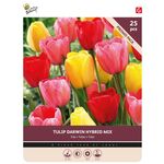 Tulip Bulbs 'Darwin Mix' 25st.