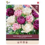 Tulipbulbs 'Double Lavender Blend' 20st
