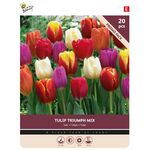 Tulip Bulbs 'Triumph Mix' 20st.