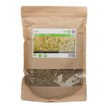 Rye Green Manure Seeds 1kg