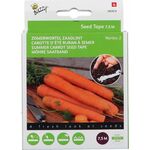 Summer Carrot 'Nantes' Seed Tape