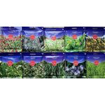 Organic Greenmanure Pack 10 pieces