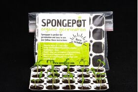 Spongepot Seed Tray incl. Bacto and Soil