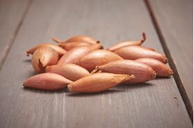 Plantsjalot 'Longor' 500gr